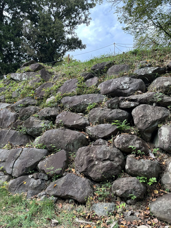 加工されていない自然石をそのまま積んだ野面積みの石垣