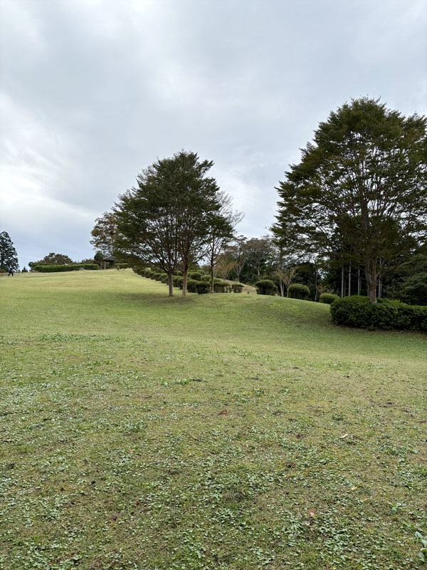 山中城の岱崎出丸、御馬場曲輪への登り坂