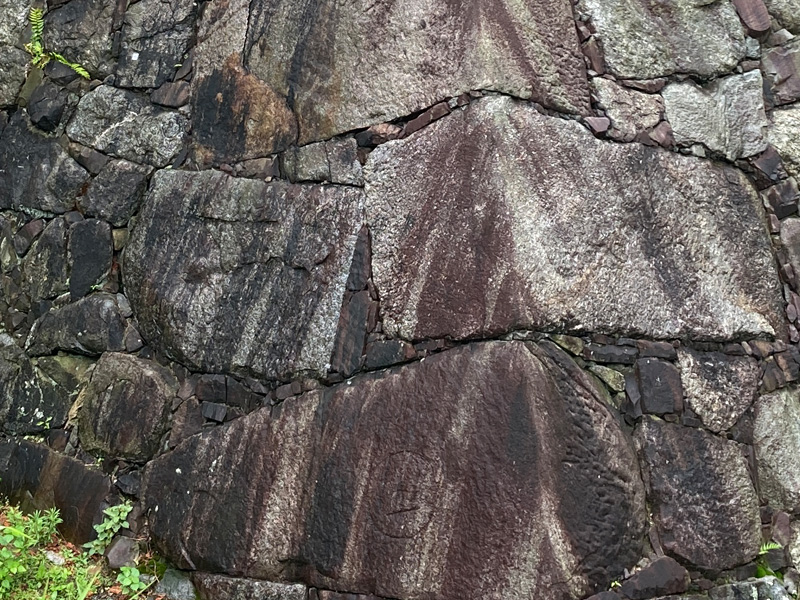 名古屋城 石垣に残る大名の刻印。天下普請で各大名が担当エリアを示すために刻んだ印。