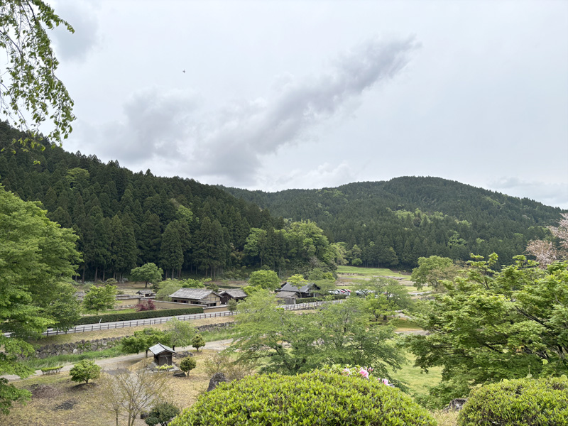高台から見下ろした一乗谷朝倉氏遺跡エリア全景。復原町並の建物群と新緑の山々が広がる