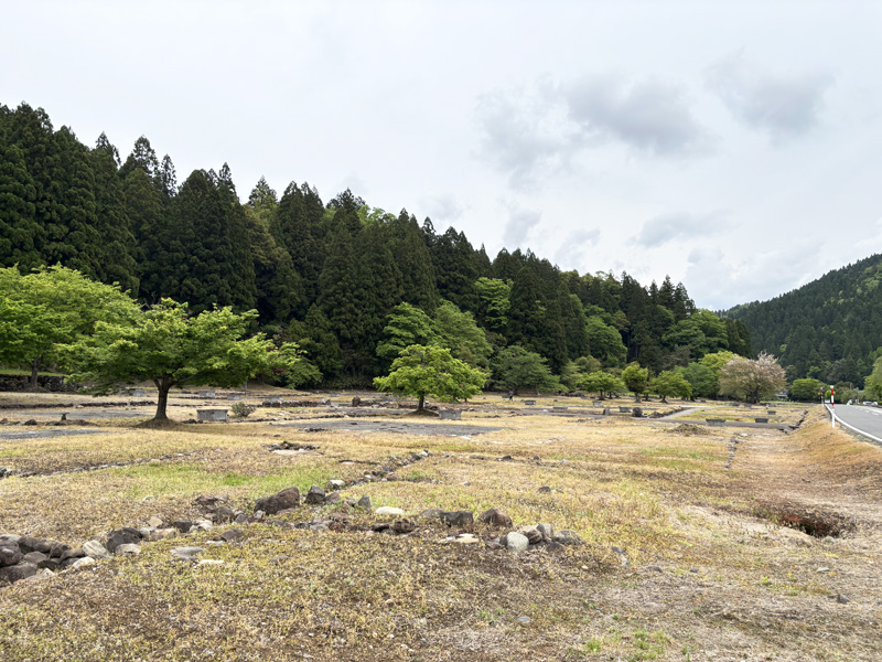 一乗谷朝倉氏遺跡の礎石群。発掘調査によって姿を現した城下町の建物跡が一面に広がる。