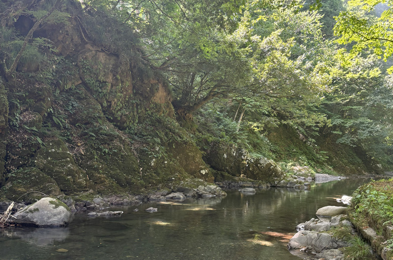 かづら橋付近の足羽川渓谷。透き通った清流と苔むした岩が広がり、夏には川遊びが楽しめる。