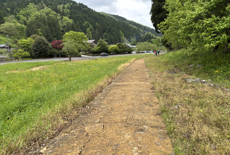 博物館から遺跡エリアへ続く遊歩道。木陰のない一本道が続き、夏の日差しを遮るものがない。