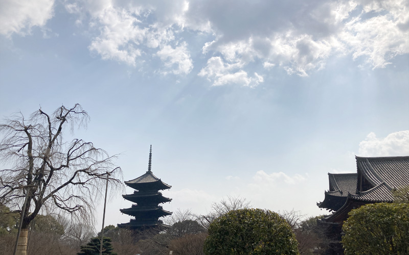 東寺の五重塔。青空を背景にそびえる