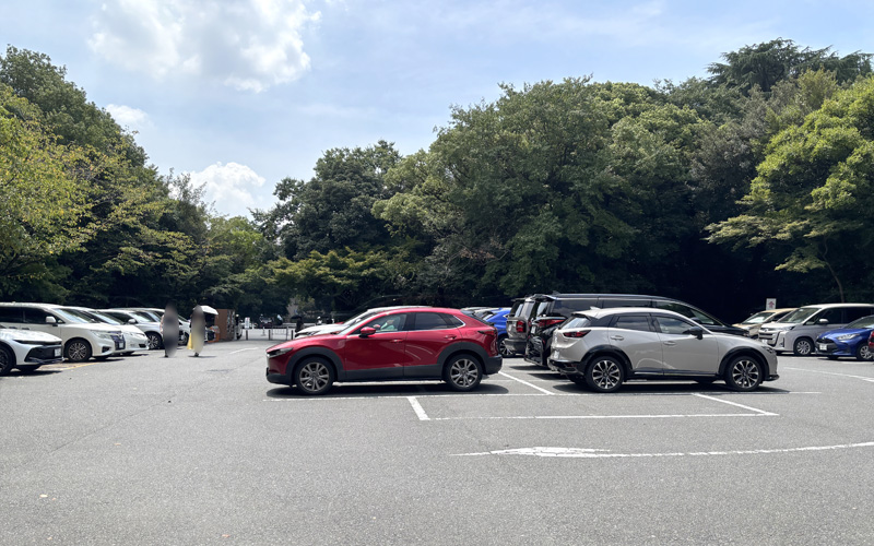熱田神宮 東門第3駐車場。緑に囲まれた無料駐車場に車が並んでいる。