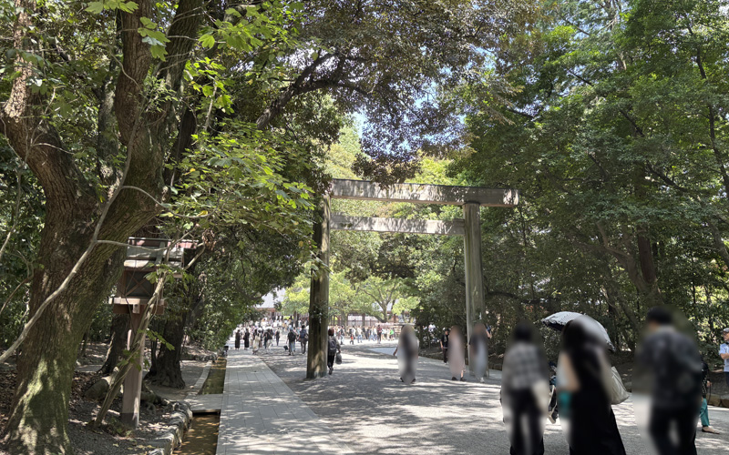 参道の突き当たりを右へ進んだ先にある、本宮前の鳥居。多くの参拝者が行き交う。