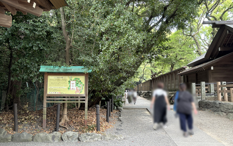 本宮に向かって左手にある、こころの小径の入口。案内板の脇から続いている。